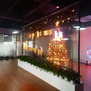 ติดตั้งง่ายมาก หน้าจอโฆษณา LED โปร่งใสในอาคาร ความสว่าง 4000nits - Product Image 5