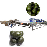 1 jaar garantie Automatische multifunctionele fruitverwerkingsinstallatie voor het reinigen van appels & peren en het wassen van groenten