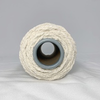 Fil de serpillière en coton blanc brut, polyester recyclé, 4 plis, à friction, fabriqué par le fabricant