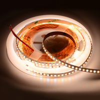 Bande LED intelligente avec garantie de 5 ans, SMD2835, blanc réglable CW WW, 12V 24V, dimmable, CRI élevé Ra80, 3000K, éclairage décoratif intérieur pour la maison