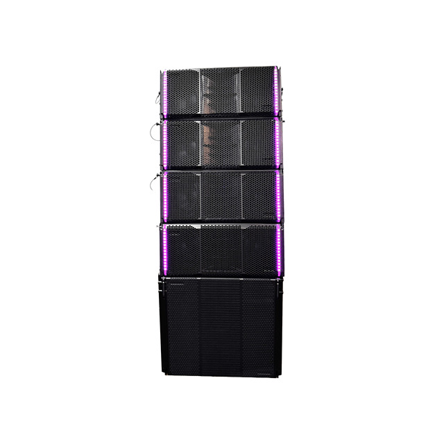 Marco Audio HDL310 Professional 800W Dual 10" Line Array Speaker with 100 Coverage for Indoor/Outdoor Use