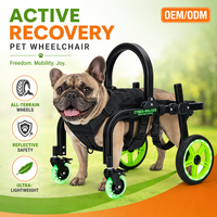 Geländegängiger, verstellbarer Hunderollstuhl mit Leuchtfunktion und Schwenkrädern – Post-OP-Wagen für kleine, mittelgroße und große Hunde (Größen S-XL)