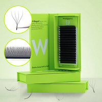 Extensions de cils en forme de W, volume multi-niveaux, tissage individuel, noir mat, cils 3D 4D W