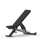 POWER TIGER Haltère d'haltérophilie AB-5300 Banc d'haltères réglable Banc de musculation multifonctionnel robuste et réglable