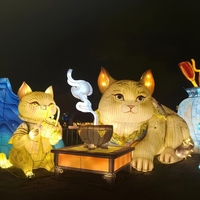 Lanterne LED personnalisée grand format sur le thème du chat, étanche, pour festivals, Ramadan, rentrée scolaire, extérieur, jardin, sculpture lumineuse, événements, parcs