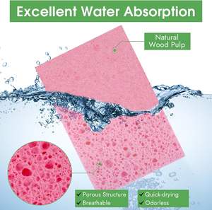 Éponge en cellulose compressée réutilisable et compostable, sans rayures, avec des propriétés de décontamination - Product Image 5