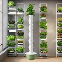 Tour de culture hydroponique à 11 niveaux et 44 trous pour balcon, système de pluie pour légumes, vente en gros