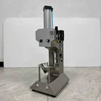 Automatische Beschietingsmachine Efficiënte Jonge Kokosschilmachine Industriële Kwaliteit Kokosnootverwerkingsapparatuur