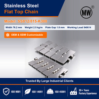 Chaîne de table en acier inoxydable SS812-815-K300 SS304, fabrication de précision pour convoyeur métallique robuste et ligne de remplissage de bouteilles