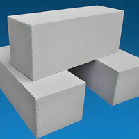 Machine à béton mousse léger pour la production de blocs préfabriqués avec pompe à moteur - Fonctionnement simple, durable, 220V