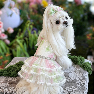 Robe légère pour <span class=keywords><strong>chien</strong></span>, petite taille, motif floral <span class=keywords><strong>Papillon</strong></span>, jupe tutu princesse pour animaux de compagnie, pour chats et chiots, vêtements d'été respirants pour <span class=keywords><strong>chien</strong></span> femelle - Product Image 5