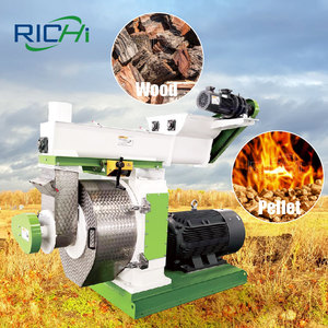 Richi miễn phí EPC thiết kế 3-4t/h sồi log gỗ PELLET Maker nhà máy - Product Image 1