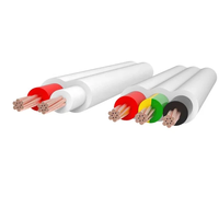SAA-Zertifiziertes Kupfer-PVC-TPS-Kabel 2-adrig und Erde 2,5mm 4mm 6mm 10mm 2C+E Flachkabel 450/750V Unterirdisch Australien