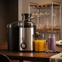 Extra grote invoeropening koude pers sinaasappelpers machine hoge sapopbrengst makkelijk schoon te maken voor heel fruit