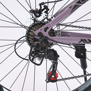 Bicicleta <span class=keywords><strong>Mtb</strong></span> 26 bicicletas de montaña especializadas de descenso con marco de acero al carbono - Product Image 6
