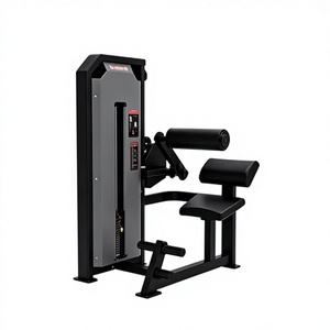 EPsonlove YLSY016GT5001 Fitness Back Extension Machine | Commercial Pin Loaded Lower Back <b>Trainer</b> 65kg <b>Weight</b> Stack | Gym Lumbar - Product Image 1
