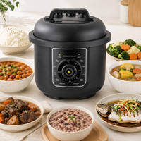 Olla a Presión Eléctrica de 1000W y 6L con Múltiples Programas de Cocción y Protección de Seguridad para Cocina Familiar y de Restaurante