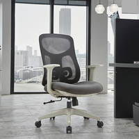 Chaise de bureau ergonomique en maille de conception moderne Support lombaire Hauteur réglable Pivotant Bureau d'ordinateur Accoudoirs (OEM/ODM)