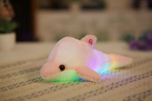 Tùy Chỉnh Led Dolphin <span class=keywords><strong>Plush</strong></span> Món Quà Sinh Nhật Tốt Nhất - Product Image 3