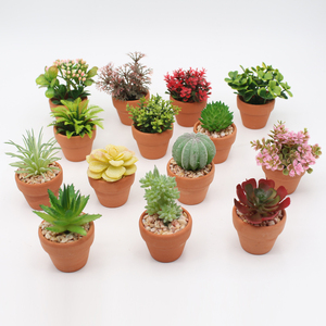 Plantas <span class=keywords><strong>Suculentas</strong></span> Artificiales <span class=keywords><strong>con</strong></span> Decoración de Maceta de Arcilla, Macetas de <span class=keywords><strong>Flores</strong></span> de Plástico Personalizadas al por Mayor, <span class=keywords><strong>Flores</strong></span> y Plantas Preservadas PA83 - Product Image 1