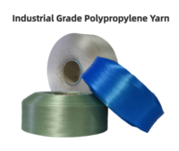 Water Resistant 100% PP Multifilament Yarn, Customizable 200D-2000D Colored Filament Yarn