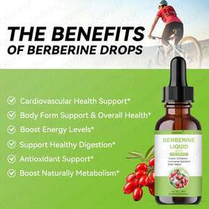 LDJ TK penjual terbaik 1500mg berine cairan tetes 2fl.oz 60ml ekstrak ramuan berine HCl untuk metabolisme dewasa wanita hamil - Product Image 4