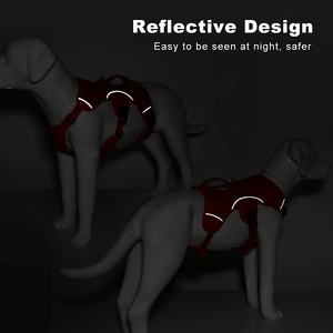 Stock 2024 Hot Sale OEM/ODM Scape Proof Hunde geschirr für kleine mittelgroße Hunde Walking Hiking Training - Product Image 4
