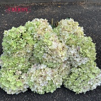 DC140 Vente en gros de tiges d'hortensias artificiels vintage à dégradé vert, grande tête de fleur en soie pour la décoration de centre de table