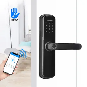 Type Door Lock Smart Home Electronic Electric TT APP Wifi Smart Lock Digital Biometric Fingerprint Door Lock