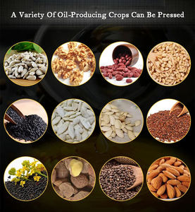 Sản Phẩm Mới Thương Mại Dầu Báo Chí Tự Động Dừa Ô Liu Cọ Mè Hướng Dương Óc Chó Mini Máy Ép Dầu - Product Image 3