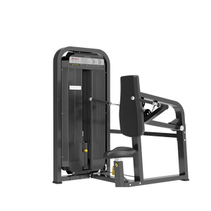 Ganas New Arrival Luxury Thiết bị phòng tập thể dục Nhà cung cấp thương mại ngồi TRICEPS Dip máy ở Quảng Châu - Product Image 1