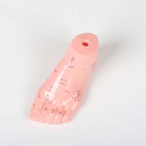 Modèle d'<span class=keywords><strong>acupuncture</strong></span> des pieds, médecine chinoise, 13cm, Science du corps, réflexologie, nouveau - Product Image 3