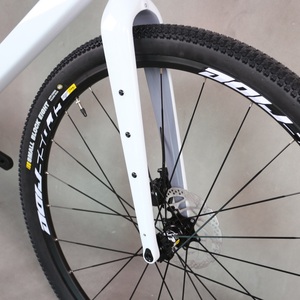 12 <b>Speed</b> Seraph Gravel Complete Bike GR048 With GRT Hydraulic Groupset 29er Aluminum Wheelset Custom <b>Paint</b> - Product Image 3