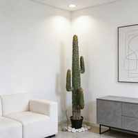 Plante artificielle de cactus tropical succulente en plastique durable, haute simulation, décoration intérieure pour cérémonie de remise de diplôme, mariage, cactus