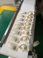 Peut faire 5000-6000 pièces/h boulette Samosa automatique faisant la machine HJ-JZ100