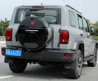Couverture de roue de pneu de secours de voiture professionnelle personnalisable Match parfait pour 2020-2023 pièces de Performance du réservoir 300