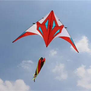 <span class=keywords><strong>Cerf</strong></span>-<span class=keywords><strong>volant</strong></span> delta avec chaussettes à vent, grand format, livraison depuis l'usine - Product Image 1