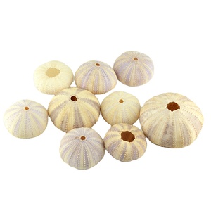 Handmade Tím Biển Nhím Lông Giáng Sinh & Wedding Pendant & Drop Đồ Trang Trí Đảng DIY Decor Tự Nhiên <span class=keywords><strong>Shell</strong></span> - Product Image 2