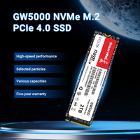 Disque SSD Great Wall M2 Gen4 NVMe 1TB 2TB 4TB, lecteur M.2 2280 PCIe 4.0, disques durs NVMe, disques SSD internes pour PS5