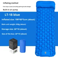 Matelas gonflable léger pour le camping en plein air, avec pompe intégrée, lit simple, tapis de couchage en TPU, résistant à l'humidité, 40D