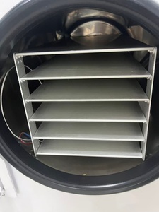 Lyophilisateur de qualité supérieure, machine de lyophilisation sous vide à haute stabilité pour l'utilisation dans les usines alimentaires commerciales - Product Image 6