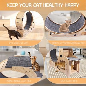Rueda de ejercicio para gatos DB Cat Wheel 6 en 1, grande, para interiores, de madera y bambú, con funciones de juego. - Product Image 4