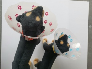犬のトレーニングのためのペット医療手術のための獣医機器調整可能なプラスチック犬保護創傷コーン - Product Image 5