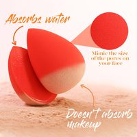 Éponge de maquillage microporeuse à faible absorption, douce, sans latex, pour fond de teint et crème en poudre