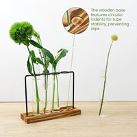 Station de propagation des plantes, terrarium, vases en tube à essai, support en verre et en fer pour la propagation des plantes hydroponiques