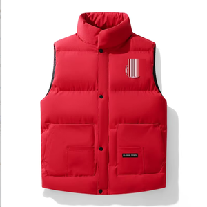 Gilet de travail pour homme 2026 <span class=keywords><strong>Goose</strong></span> Quality, <span class=keywords><strong>sans</strong></span> manches, hiver, épais, coupe-vent, rembourré, léger, décontracté, à motifs - Product Image 3