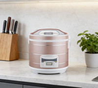 Autocuiseur Électrique Intelligent Portable, Vente en Gros Direct Usine, avec Cuillère Doseuse, Revêtement Antiadhésif Automatique, Pot Intérieur 1L-2.8L