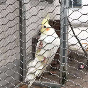 Fabriek Aangepaste Vogel Volière Mesh Kooi Roestvrij Staaldraad Mesh Voor Verkoop