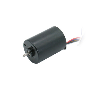 Motor BL2838 sin Escobillas de CC, 28 mm de Diámetro, 6000 RPM, 12V 24V 36V, Alta Velocidad, Montaje con Brida, Imán Permanente - Product Image 1