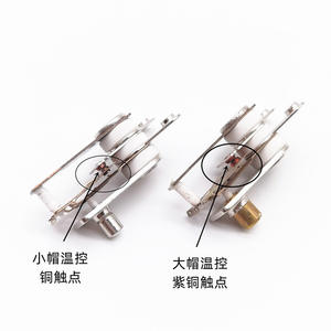 Grande cuiseuse à riz électrique multifonctionnelle avec fonction de cuisson, contrôle de la température par thermostat, et fonctions de fondue et de mijoteuse, avec interrupteurs de température (TDS) - Product Image 1